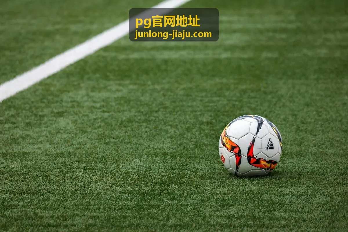 pg官网地址入口地址核对说明图